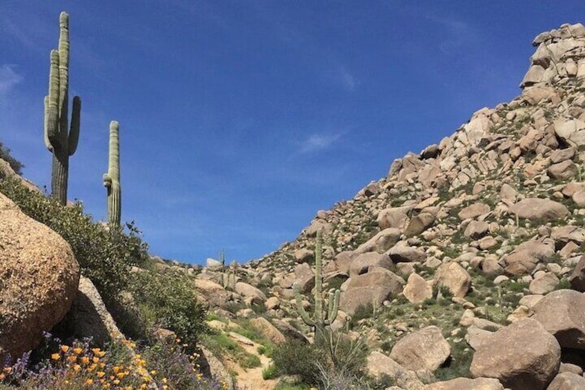 Iconic Tom's Thumb Hiking Adventure in Scottsdale