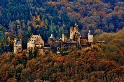 Luxembourg Christmas Market Tour