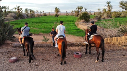 Marrakech: ทัวร์ขี่ม้าส่วนตัวในปาล์มโกรฟพร้อมชา
