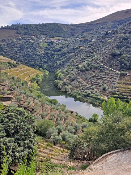 Picture 17 for Activity Douro Valley: 8-9h FD tour at the magic valley!