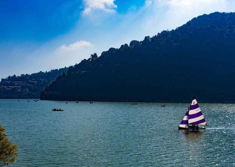 Picture 2 for Activity Nainital Nature Trekking Experience (4 Hours Experience)