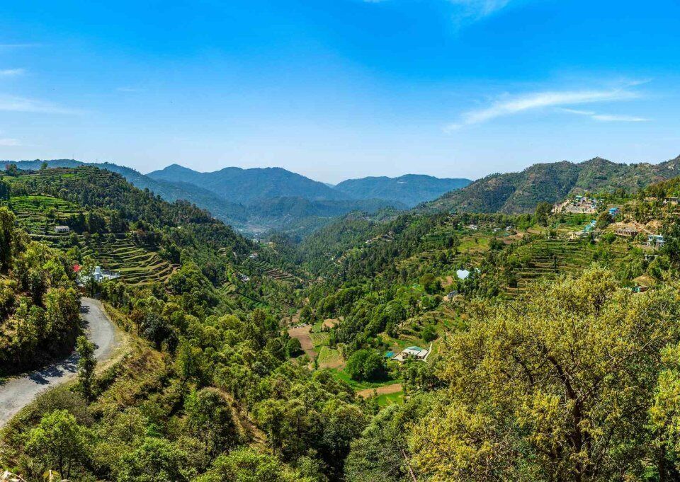 Nainital Nature Trekking Experience (4 Hours Experience)