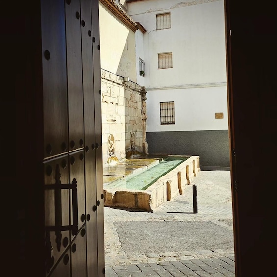 Jaén: Tour, Cathedral, Arch San Lorenzo and Jewish Quarter