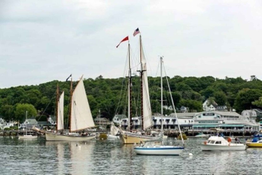 Picture 4 for Activity Boothbay Harbor: Sunset Sail to see the Maine Coastline