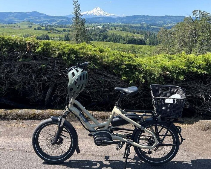 Picture 2 for Activity Hood River: All-Day E-Bike Rental