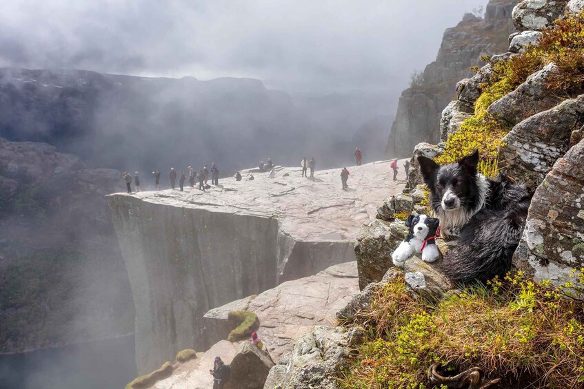 Picture 10 for Activity Stavanger: Preikestolen Classic Hike and Side Trail