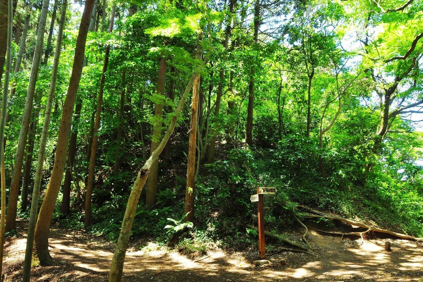 Picture 8 for Activity Kamakura through time (hiking, writing Sutras..)