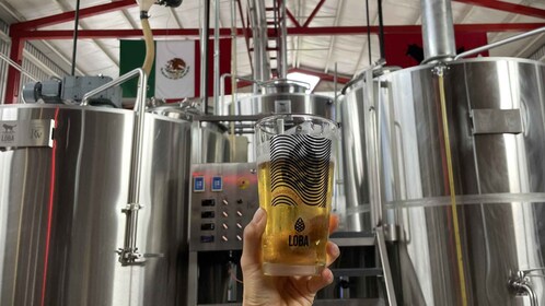 Recorrido por la arquitectura y la cervecería de Guadalajara