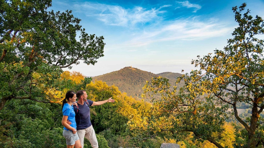 Baden-Baden: Wanderung mit dem Schwarzwald-Guide