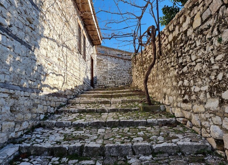 Picture 11 for Activity From Tirana: Berat Full-Day Tour