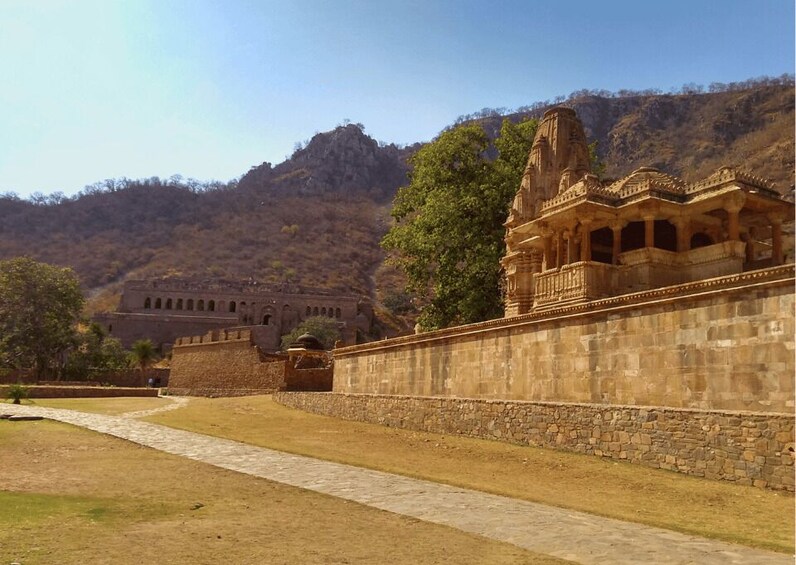 Picture 2 for Activity Guided Day Trip to Abhaneri & Haunted Bhangarh from Jaipur