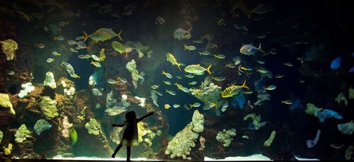 Entrada al acuario de San Sebastián y recorrido a pie por la ciudad