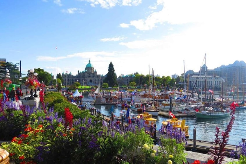 Picture 4 for Activity From Vancouver: Private Victoria Full Day Tour