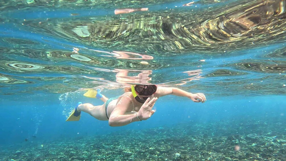 Picture 10 for Activity From Ceningan: Snorkeling with Turtle Experience