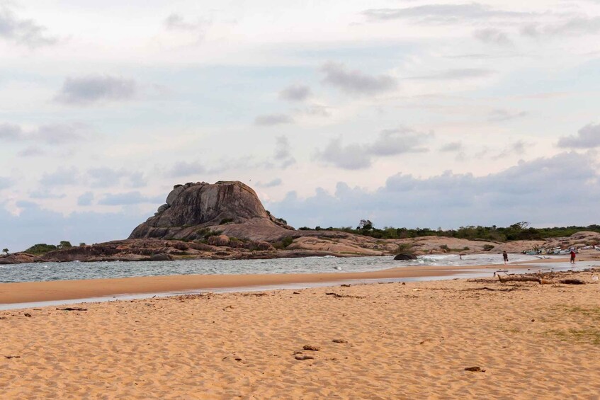 Picture 5 for Activity Hambantota Port: Yala National Park Wildlife Safari in a 4x4