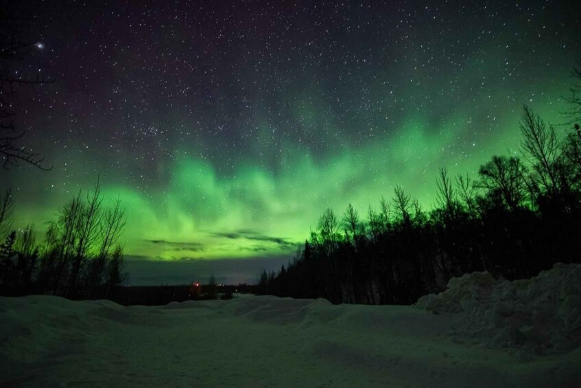 Picture 7 for Activity Anchorage: Aurora Borealis Northern Lights Photography Tour