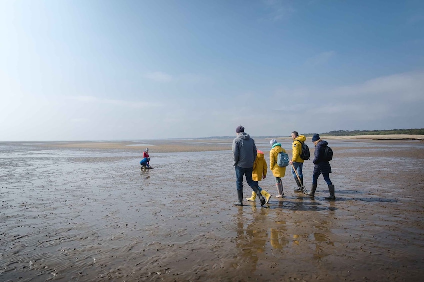 Picture 3 for Activity Sylt: Guided Mudflat Hike on the Island