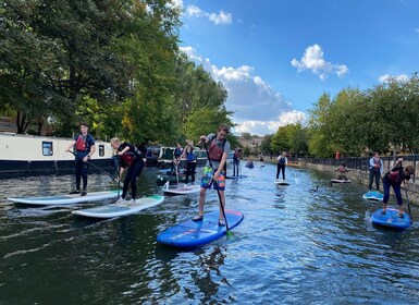 2hr Group Stand Up Paddleboarding Session in Paddington