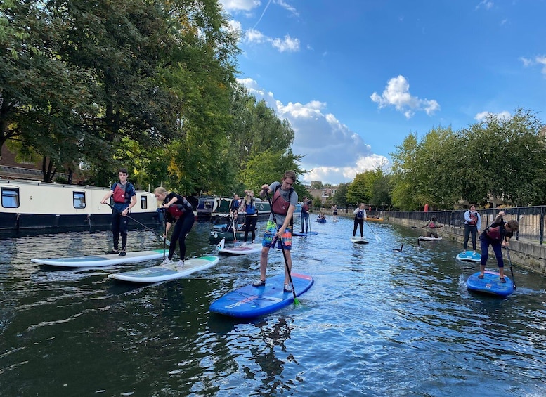 2hr Group Stand Up Paddleboarding Session in Paddington