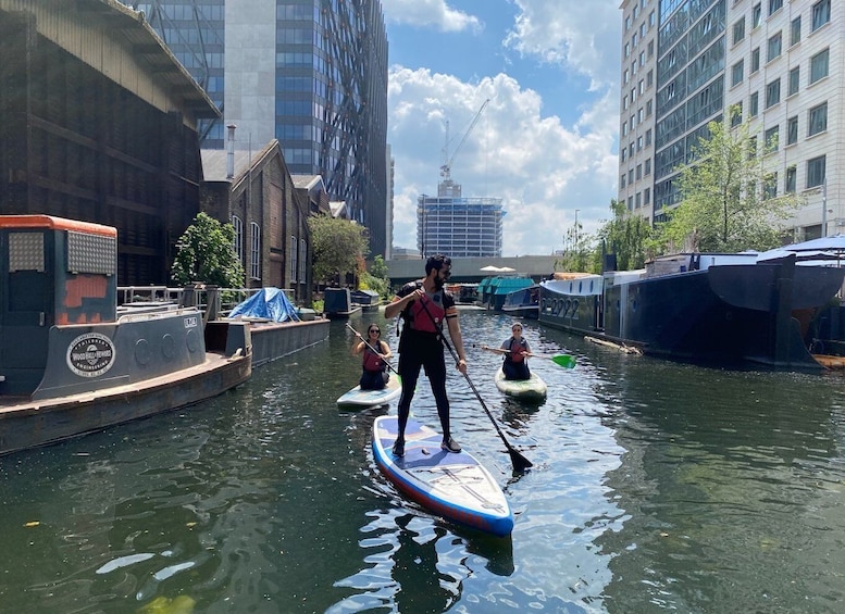 Picture 2 for Activity 2hr Group Stand Up Paddleboarding Session in Paddington