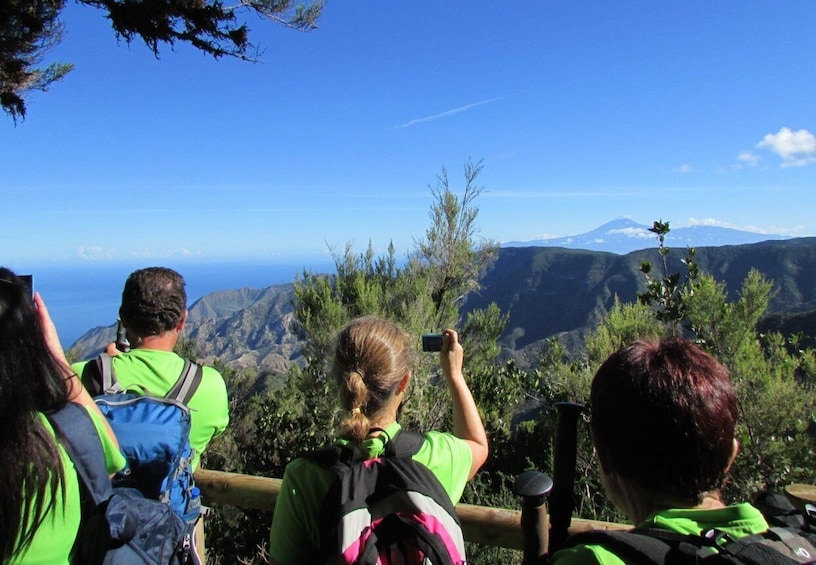 Picture 1 for Activity La Gomera: Garajonay National Park Forest Walk