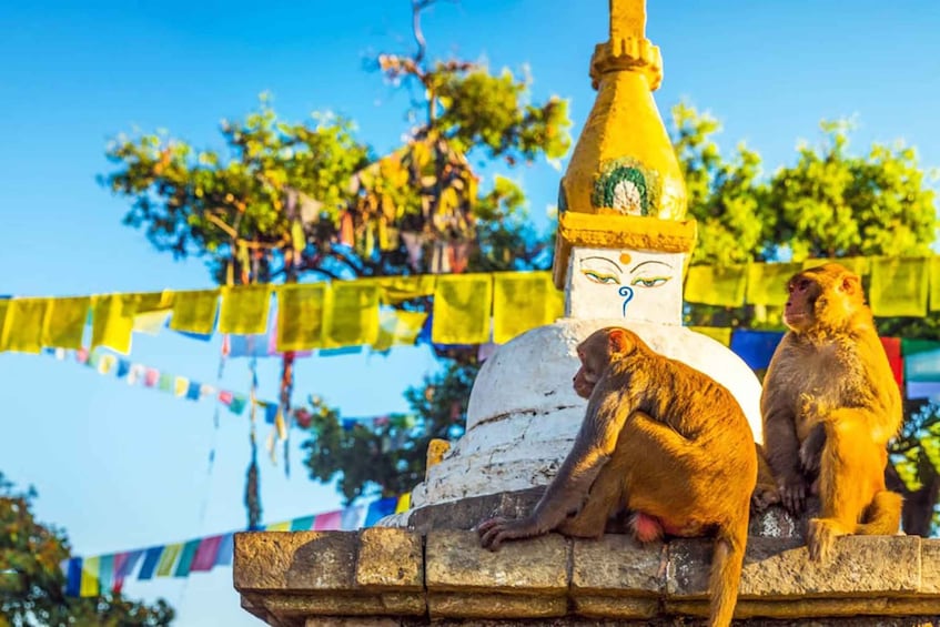Picture 3 for Activity Kathmandu: Chandragiri Cable Car and Monkey Temple Tour