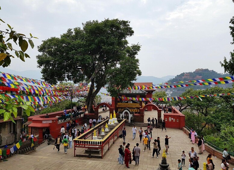 Picture 20 for Activity Kathmandu: Chandragiri Cable Car and Monkey Temple Tour