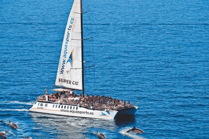 Puerto Rico : 2 hour Dolphin Catamaran Excursion