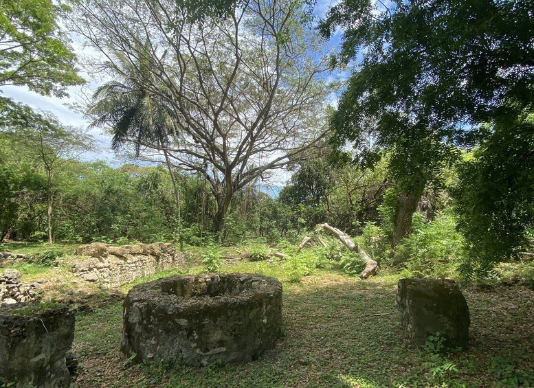 Picture 6 for Activity Santo Domingo: History of Slavery Guided Tour