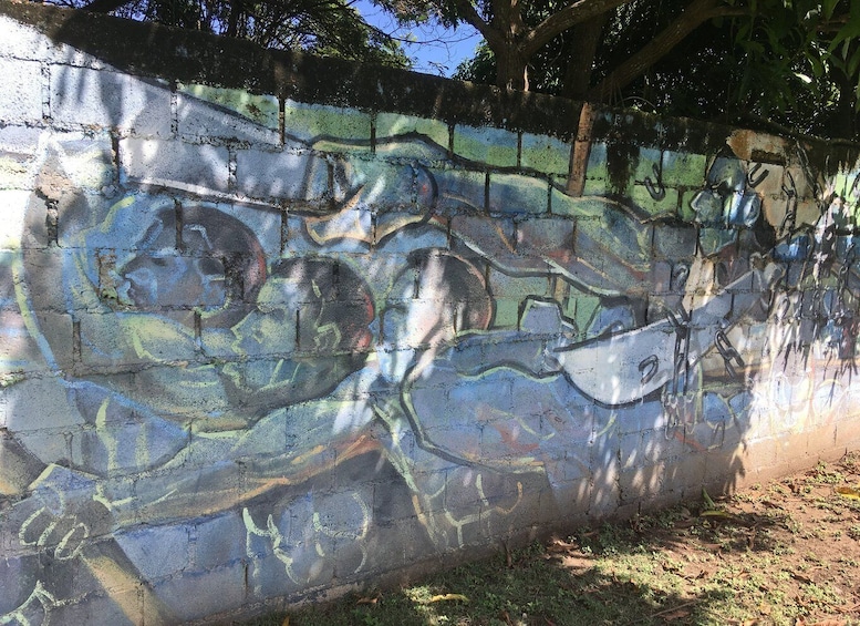 Picture 5 for Activity Santo Domingo: History of Slavery Guided Tour