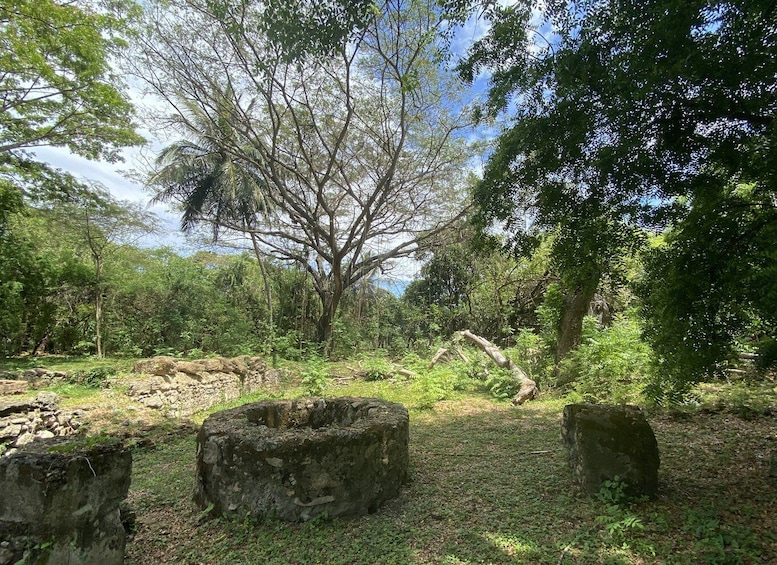 Picture 6 for Activity Santo Domingo: History of Slavery Guided Tour