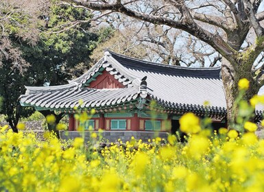 Jeju: Eastern Jeju UNESCO Spots Day Tour