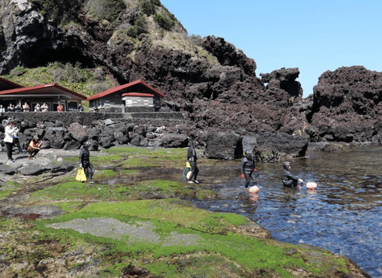 Picture 16 for Activity Jeju: Eastern Jeju UNESCO Spots Day Tour