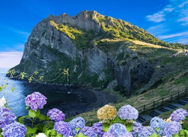 Jeju: Eastern Jeju UNESCO Spots Day Tour
