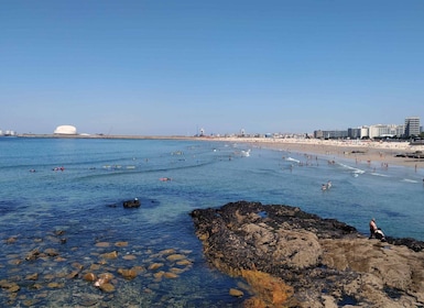 Porto: a ride along the coast in a fun eco-friendly car