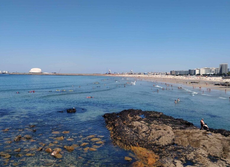 Porto: a ride along the coast in a fun eco-friendly car