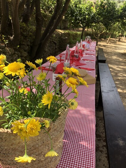 Picture 4 for Activity Agrigento: Valley of the Temples Gardens Picnic Experience