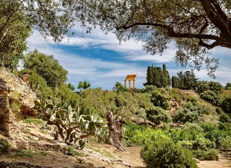 Picture 8 for Activity Agrigento: Valley of the Temples Gardens Picnic Experience