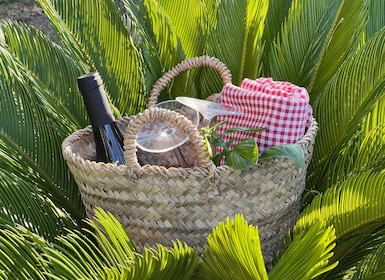 Agrigento: Tal der Tempel Gärten Picknick Erlebnis