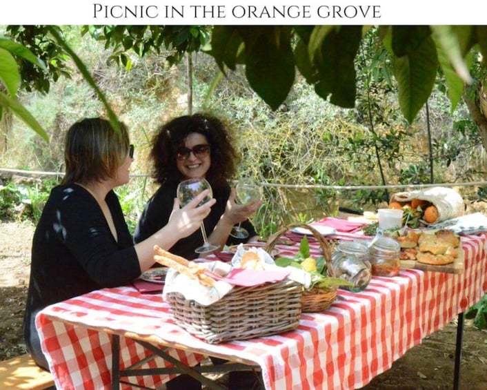 Picture 9 for Activity Agrigento: Valley of the Temples Gardens Picnic Experience
