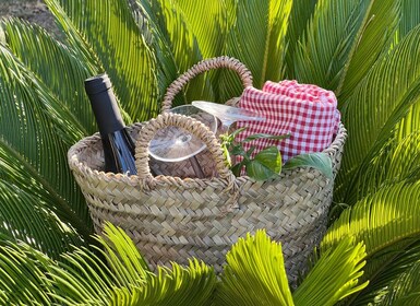 Agrigento: Tal der Tempel Gärten Picknick Erlebnis