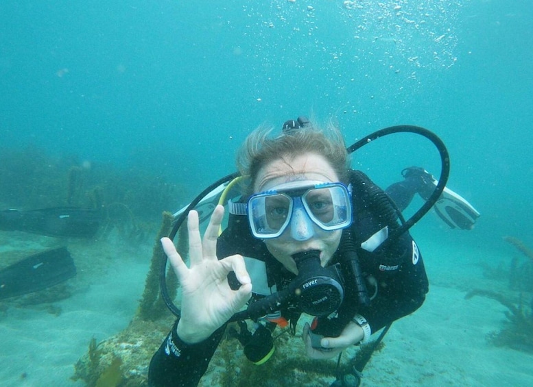 Picture 3 for Activity From Leigh: Goat Island Try Scuba Diving Experience