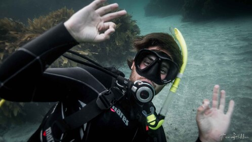 Dari Leigh: Pulau Kambing Mencoba Pengalaman Menyelam Scuba Diving