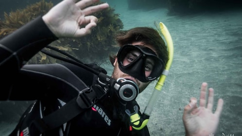 來自利：山羊島嘗試水肺潛水體驗