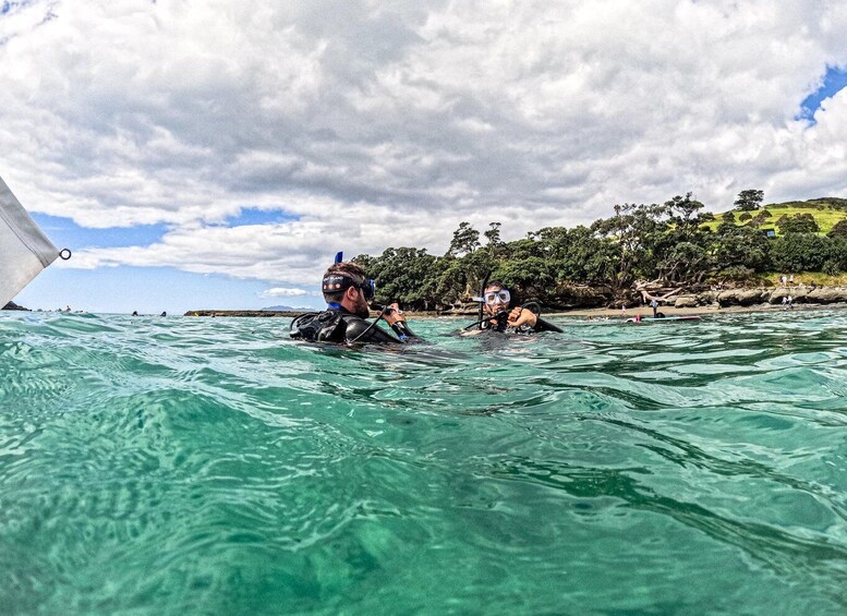 Picture 1 for Activity From Leigh: Goat Island Try Scuba Diving Experience