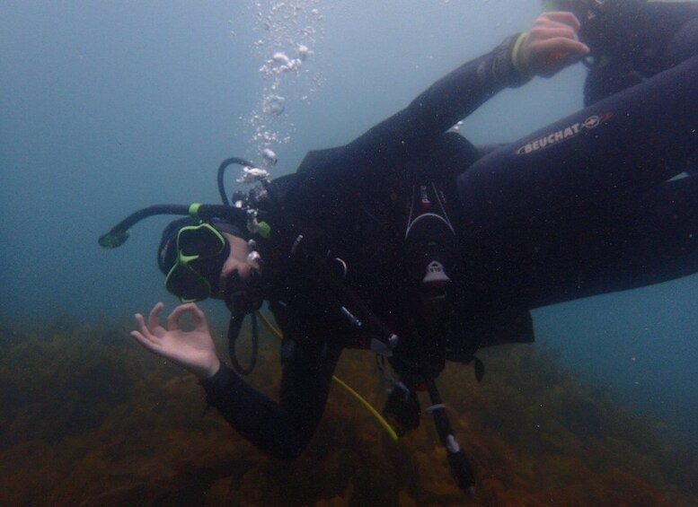 Picture 7 for Activity From Leigh: Goat Island Try Scuba Diving Experience