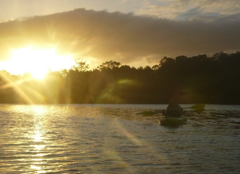 Picture 2 for Activity Brunswick Heads: Brunswick River Sunrise Nature Kayak Tour