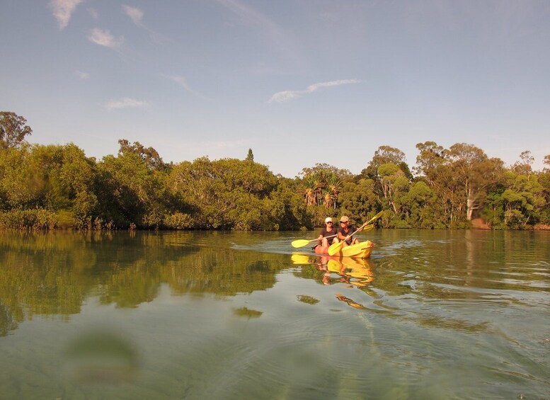 Picture 1 for Activity Brunswick Heads: Brunswick River Sunrise Nature Kayak Tour