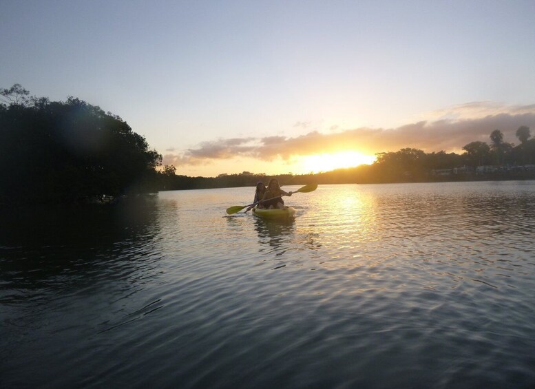 Picture 3 for Activity Brunswick Heads: Brunswick River Sunrise Nature Kayak Tour