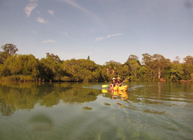 Picture 1 for Activity Brunswick Heads: Brunswick River Sunrise Nature Kayak Tour